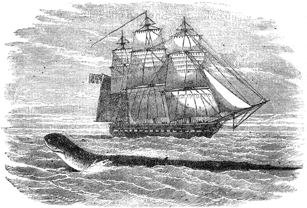 1886年のMythical Monstersに再録されたダイダロス号の海蛇の図70